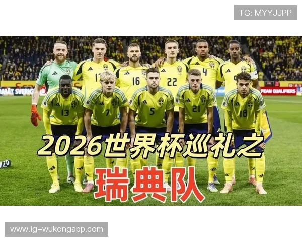 瑞典队能否突围2026世界杯预选赛晋级正赛